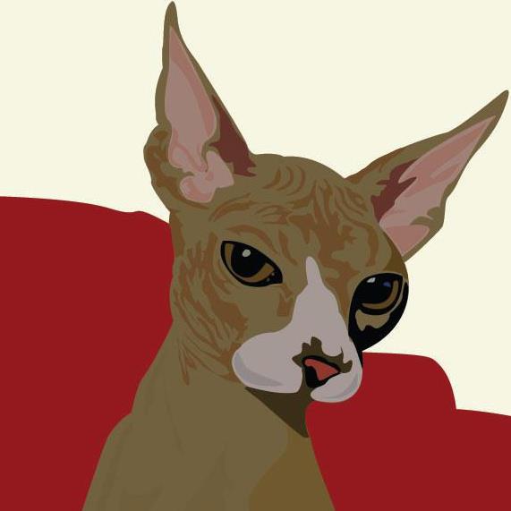 Cat in Illustrator